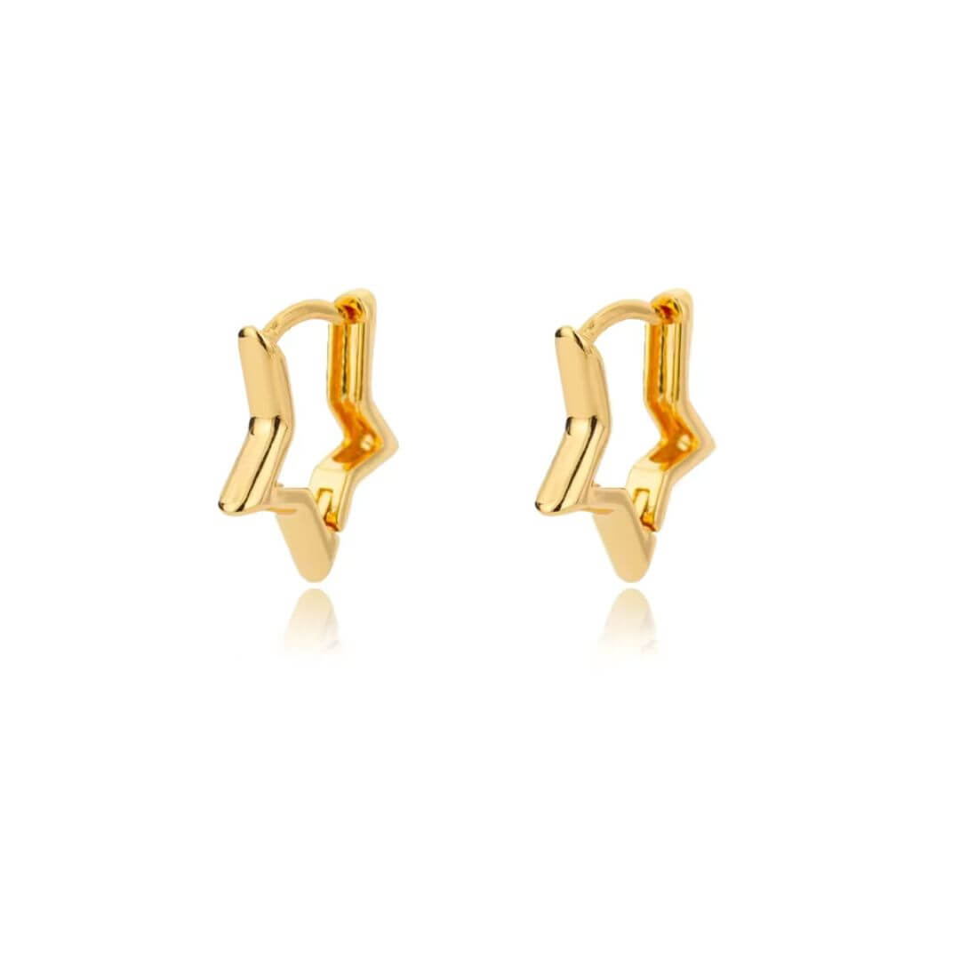 Gold Star Shaped Hoop Earrings - Diane Jewelry